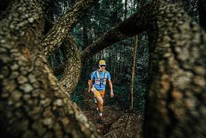 BIB: 
                            <button type="button" onclick="openModal(25674308)" class="btn btn-primary btn-sm float-right btn-popup" data-toggle="modal" data-target=".modal-high-quality">
                        <i class="fas fa-shopping-cart"></i> Add to Cart
                    </button>
                                            <button type="button" onclick="isThisMe(25674308, true)" class="btn btn-success btn-sm float-right btn-popup btn-isme hidden" data-toggle="tooltip" data-placement="bottom" title="นี่คือรูปของคุณใช่ไหม คลิกที่นี่เพื่อเอาเข้าอัลบั้ม">
                        <i class="fas fa-plus"></i> Add to album
                    </button>
                    <button type="button" onclick="isThisMe(25674308, false)" class="btn btn-warning btn-sm float-right btn-popup btn-isnotme hidden">
                        <i class="fas fa-ban"></i> Remove from album
                    </button>